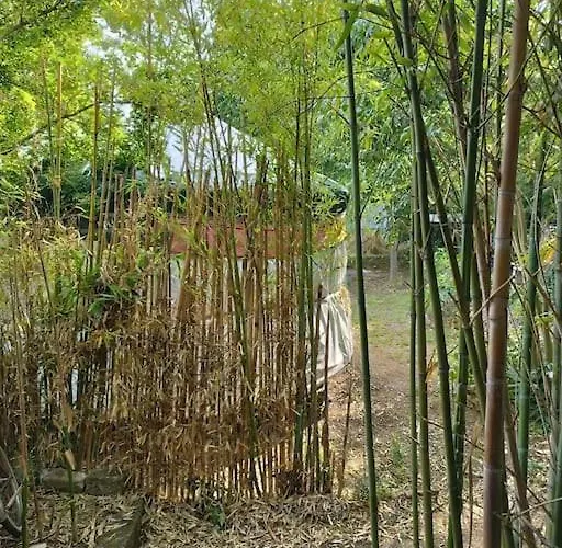 Yourte A La Campagnette